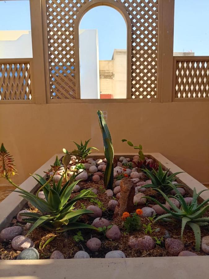 Dar Diafa Samira Apartment Mirleft Luaran gambar